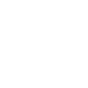 Icon für Premium Design