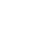 Icon für Premium Design